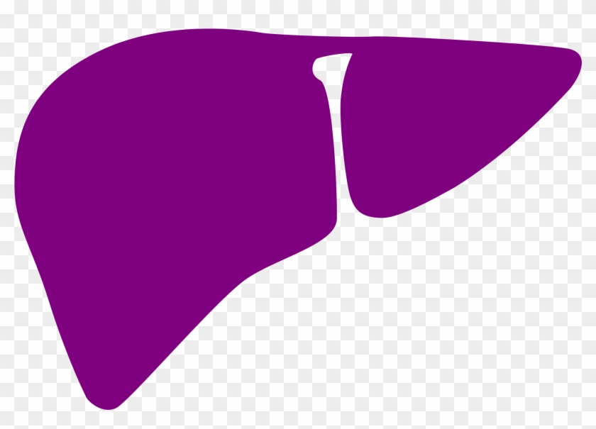 Open - Liver #645418
