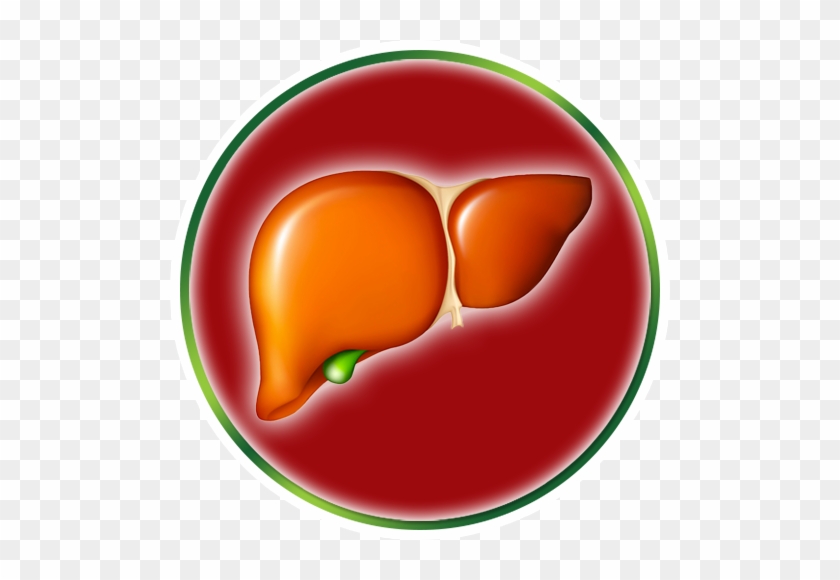 Liver Health - Liver Health #645577