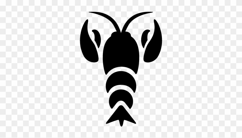 Crayfish Vector - กุ้ง เค ร ฟิ ช Png #646248