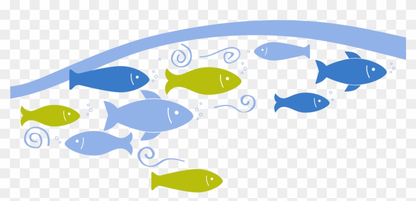 Iriss Informs, Using Wide Reaching Dissemination, And - Fish #646301