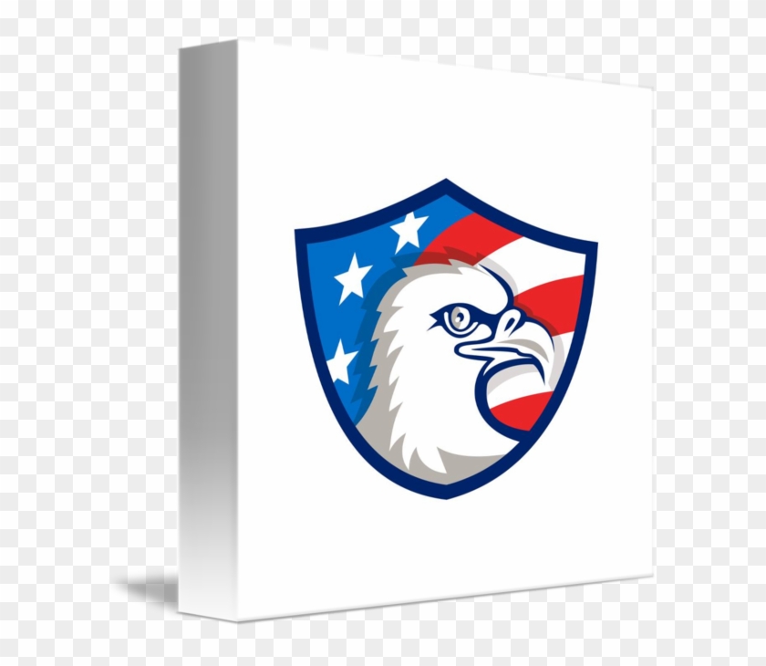 Bald Eagle #646803