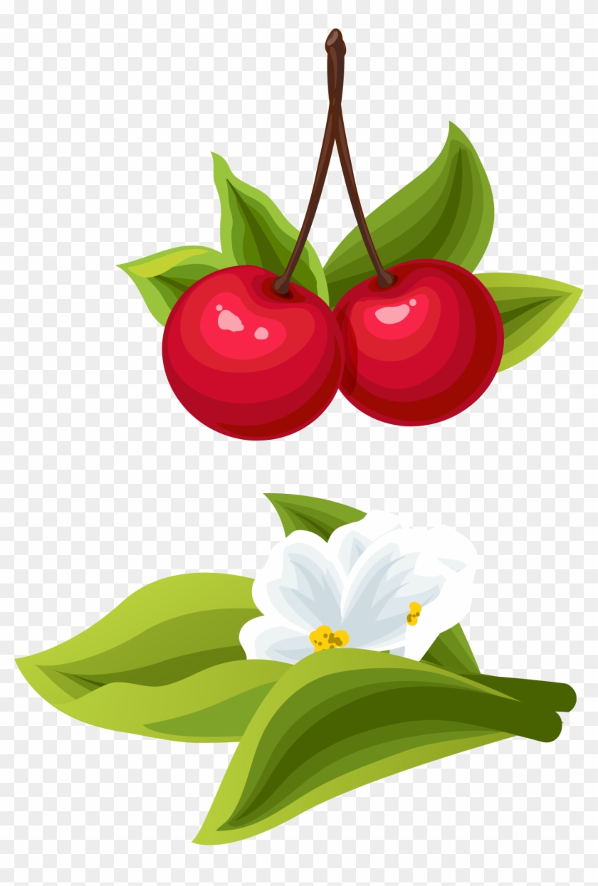 Cherry Cartoon Clip Art - Cherry Cartoon Clip Art #646862