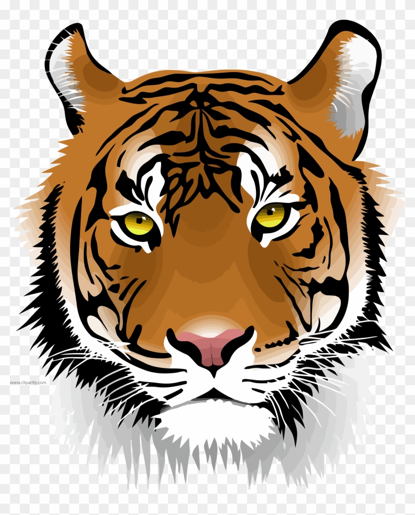 Tiger Wild Face Clipart Png Download - Tiger Png #646943