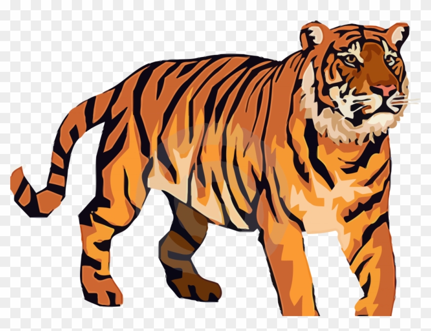 Tiger Clipart #646966
