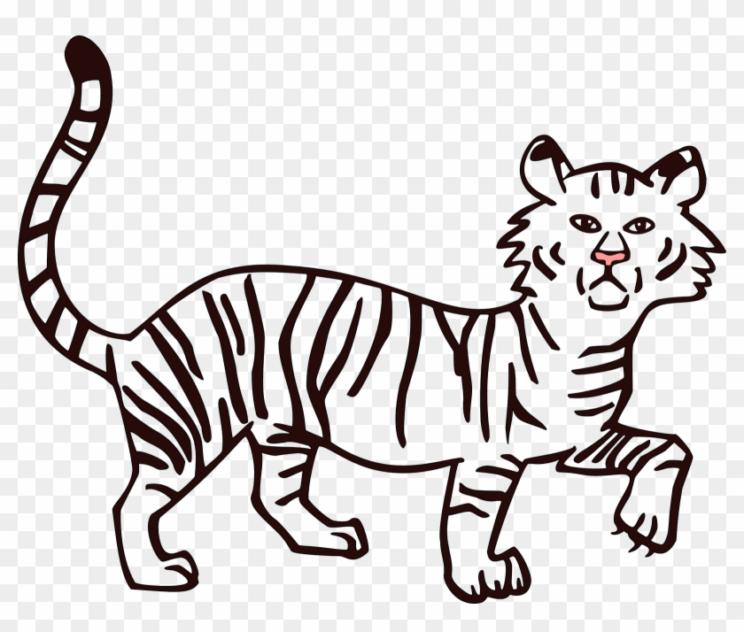 Tiger Outline Drawing At Getdrawings Com Free For Personal - Fill Color In Drawing #647033
