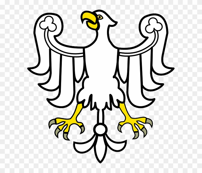 White, Eagle, Bird, Animal - Hình Ảnh Chim Đại Bàng Biểu Tượng #649072