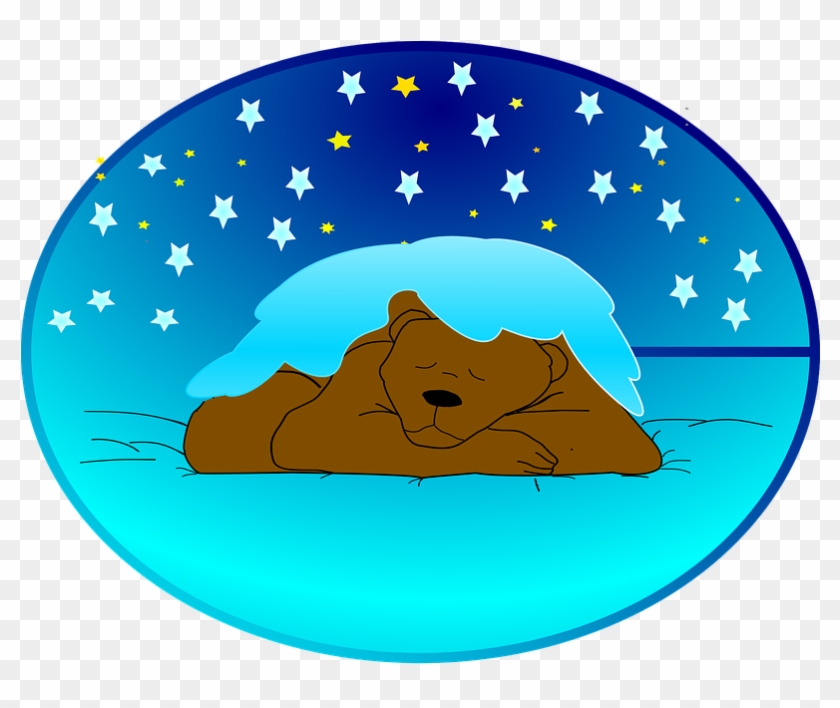 Why Do We Sleep - Winterschlaf Clipart #649082