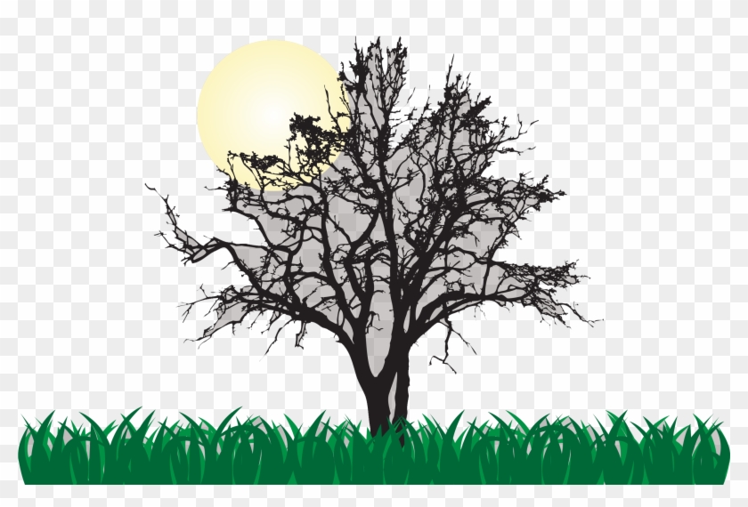 Tree Euclidean Vector Illustration - Tree Euclidean Vector Illustration #649387