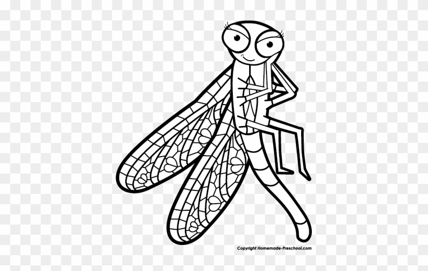Click To Save Image - Net-winged Insects #649611