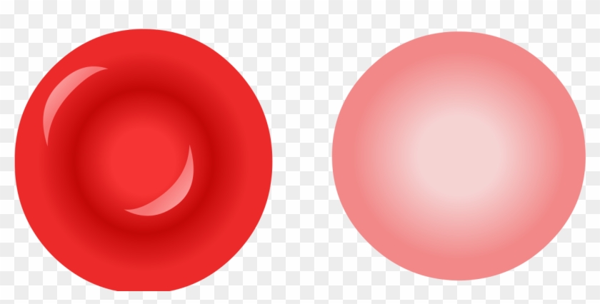 Erythrocyte - Plan Do Check Act #650703