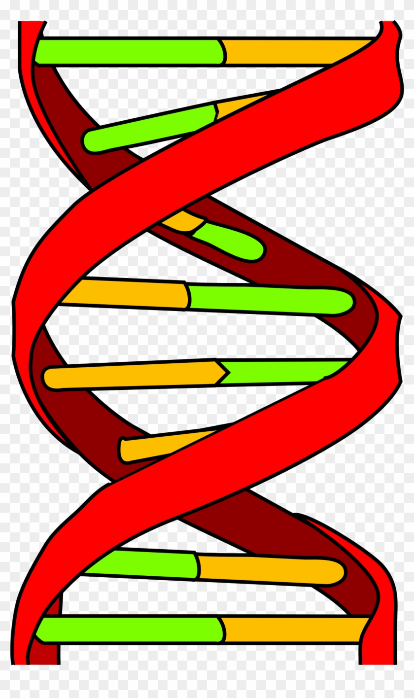 Open - Dna Icon #650753