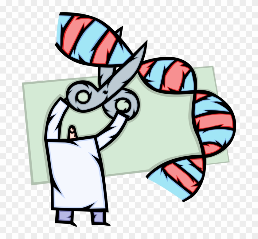 Vector Illustration Of Scientist Uses Genetic Engineering - Vector Illustration Of Scientist Uses Genetic Engineering #650772