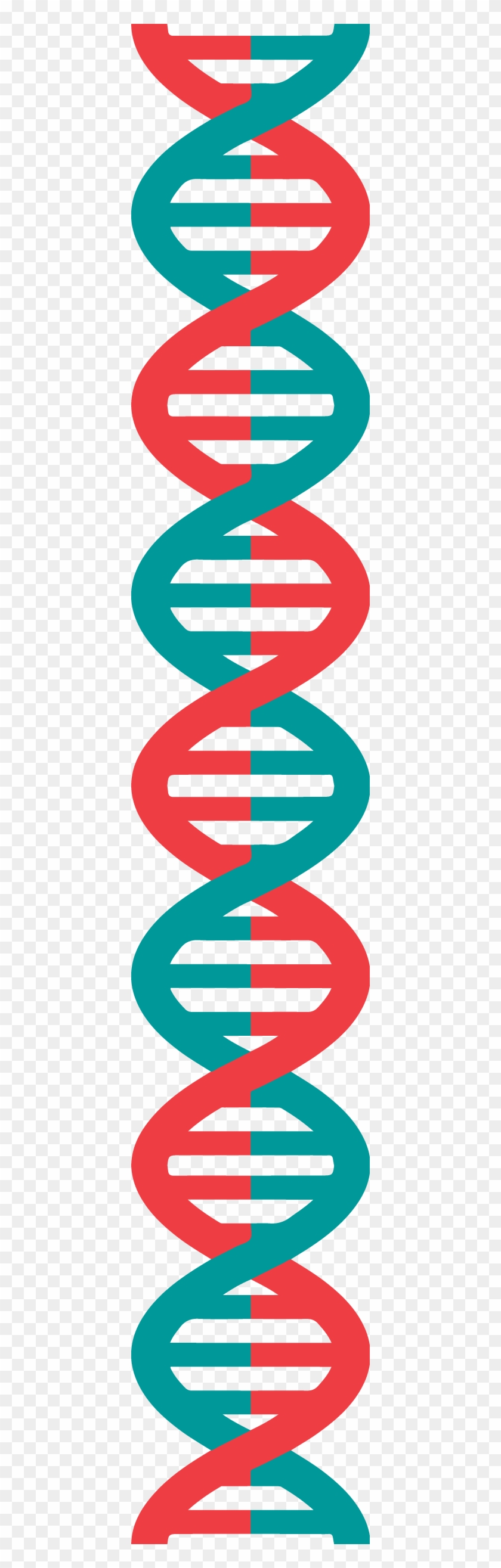 Structure And Function Of The Bacterial Cell Envelope - Long Dna Strand Png #650797