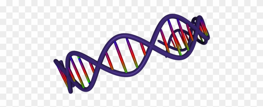 A Twisted 'knot' Of Dna, The I-motif Has Never Before - Adn Gif Fondo Transparente #650848