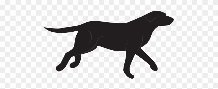 Labrador Technologies - Website #652710