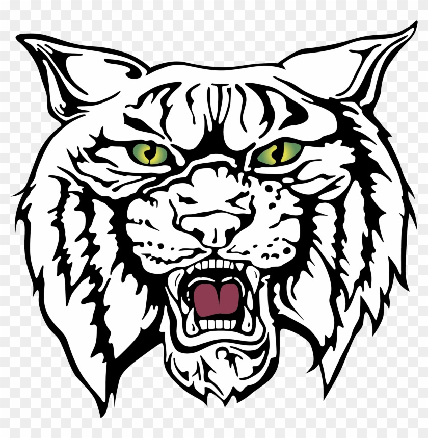 Wildcat Drawing Clipart Best - Redlands East Valley Wildcats #653297