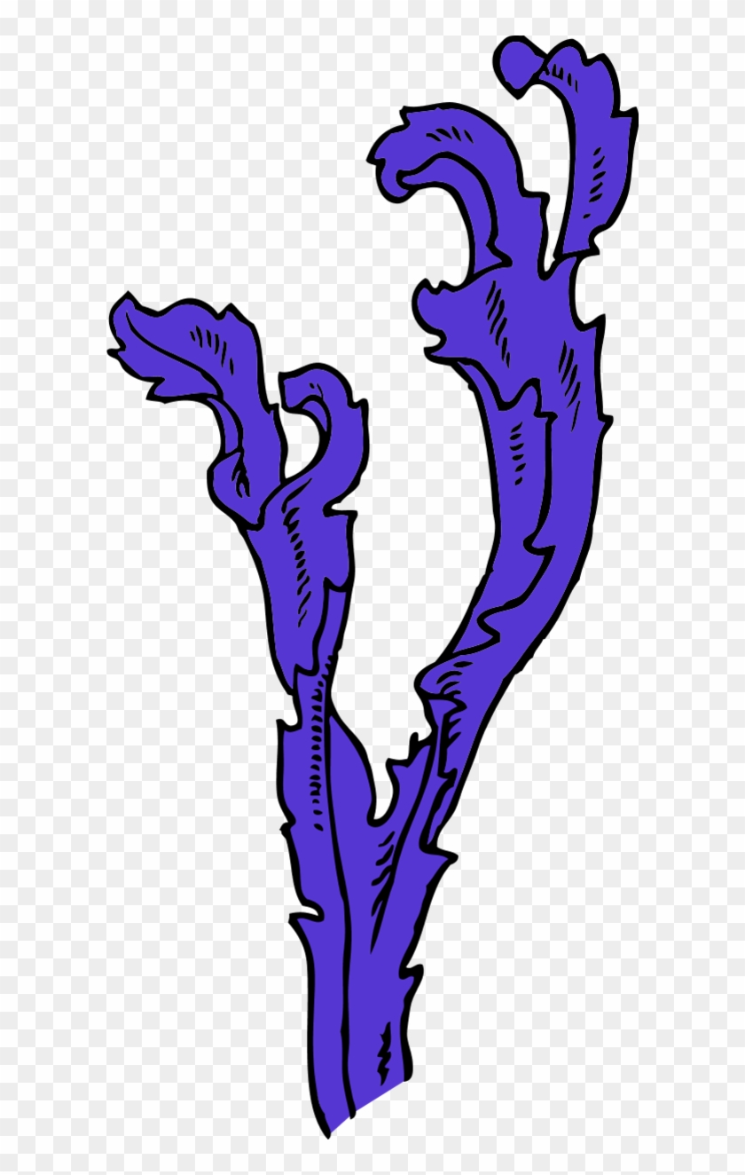 Seaweed Clipart - Purple Seaweed Clipart Transparent #657015