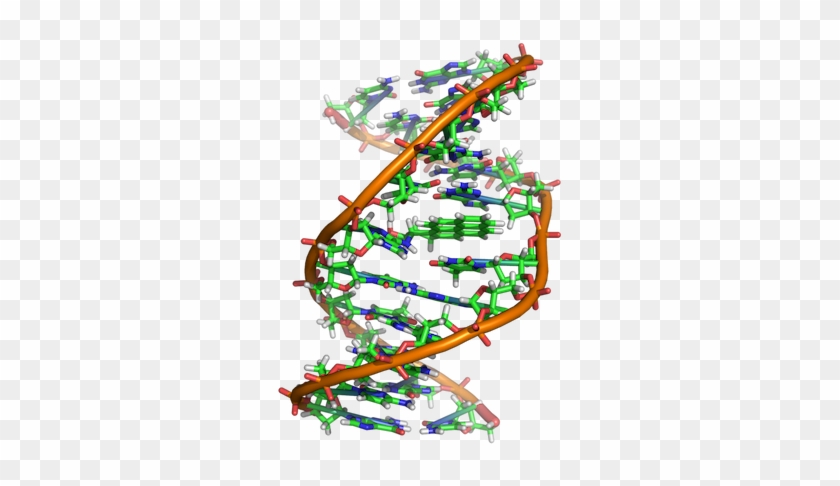 Bulding A Better Algae Through Genetic Enhancement - Material Genetico De La Celula #657024