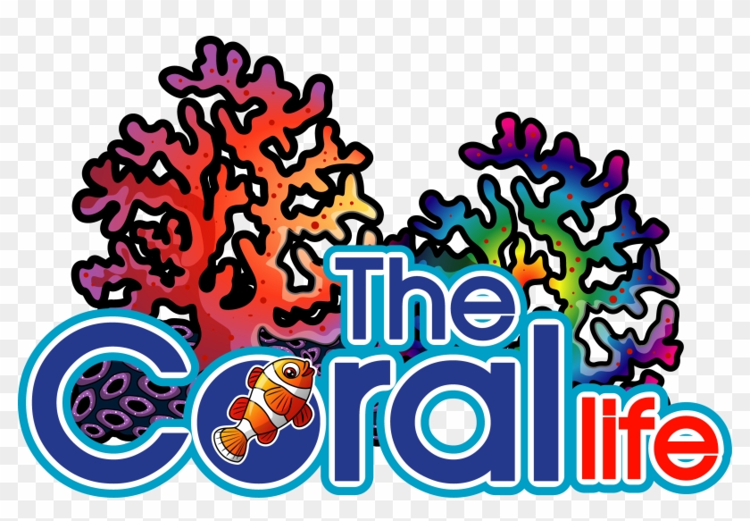 867038000415 - The Coral Life #657037