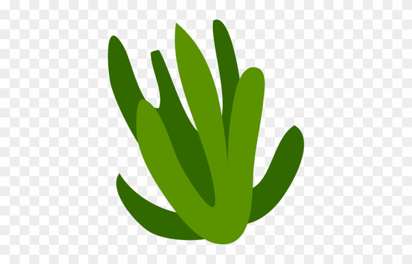 Vector - Algae - Svg - Vector - Algae - Svg #657122
