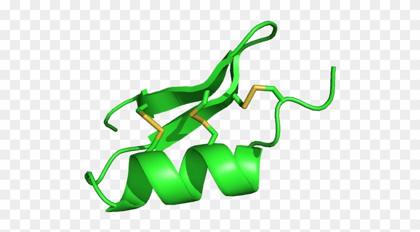 Scyllatoxin #659122