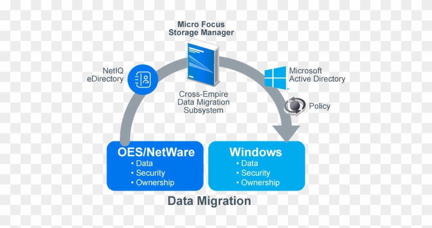 Identity Access Management Solution Micro Focus - Data Migration #660214