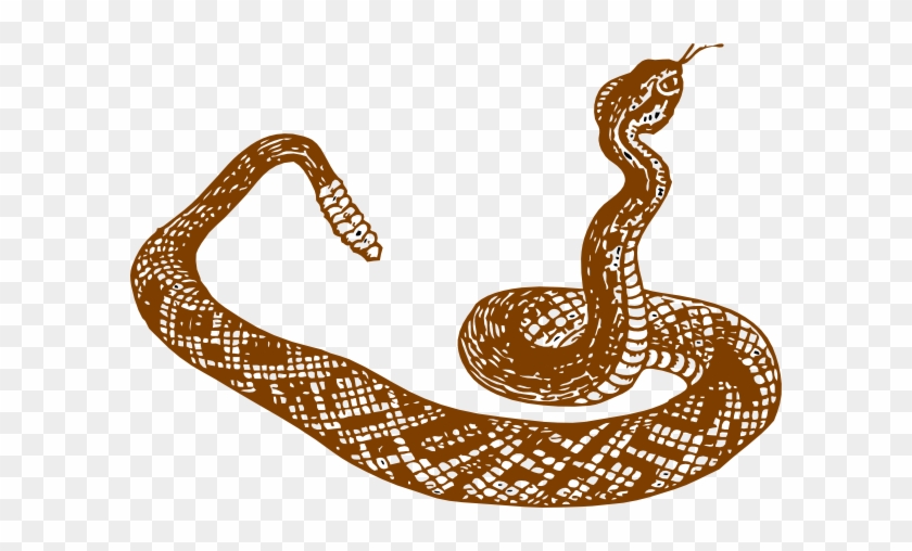 Drawn Serpent Desert Snake - Snake In Black And White #660721