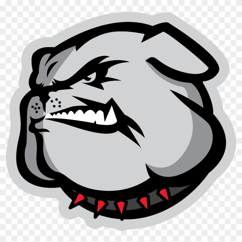 Lady Bulldogs Win District Volleyball Title - School #661106