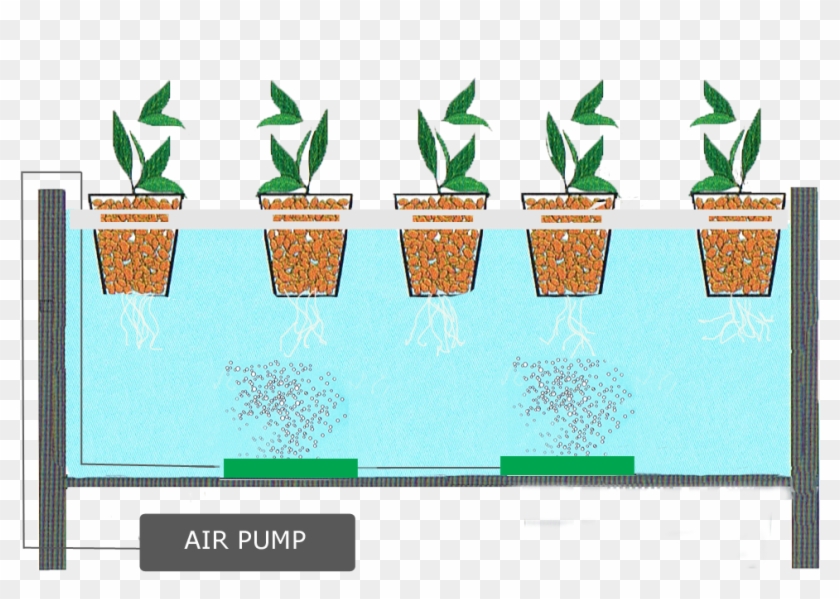Water Culture System Floating Hydroponic System - Make Hydroponic System Without Pump #661163