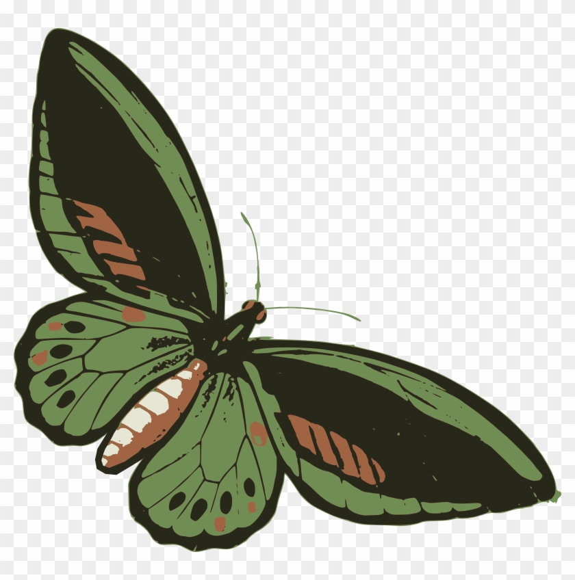 Medium Image - Beautiful Green Butterfly Keychain, Adult Unisex, Size: #661572