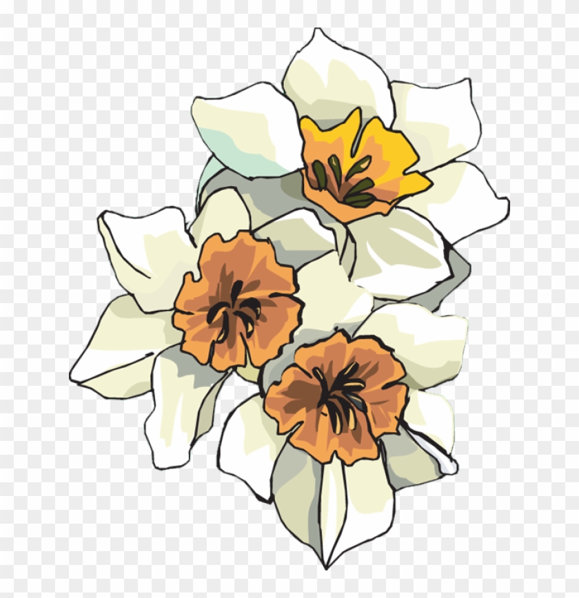 White #663043
