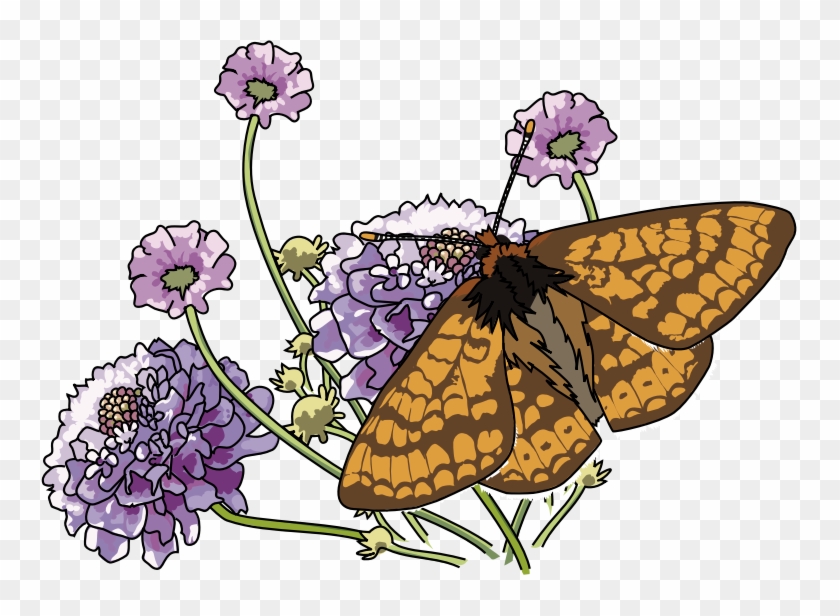 Free To Use & Public Domain Butterfly Clip Art - Custom Monarch Butterfly And Flowers Mugs #663061