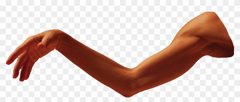 Arm Clip Art - Arm Transparent Png #664440
