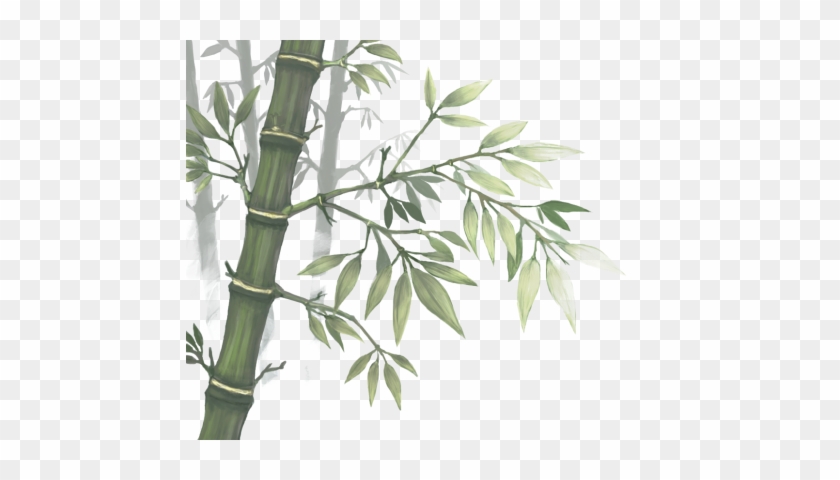 Bamboo Forest Xblog - Bamboo #664607