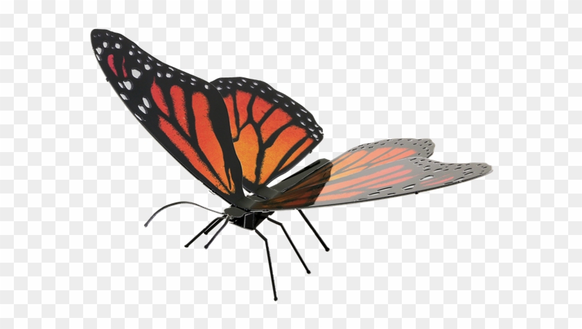 Metal Earth Butterflies - Metal Earth Butterfly #665090
