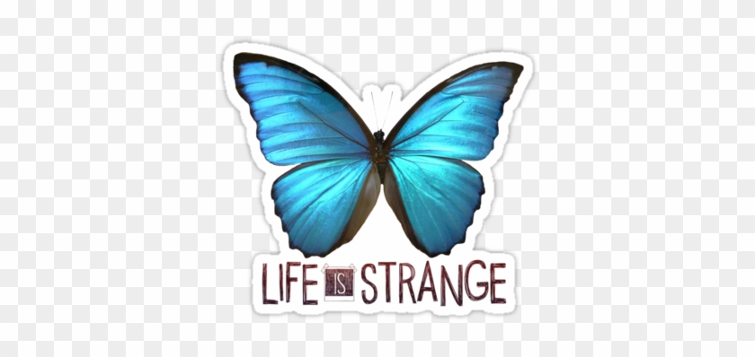Life Is Strange Butterfly By Queenhannahh - Life Is Strange Limited Edition (xbox One) #665091