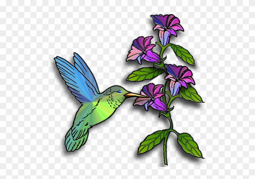 Hummingbird Flowers Clip Art Free Clip Art Icons Of - Hummingbird Flowers Clip Art Free Clip Art Icons Of #665721