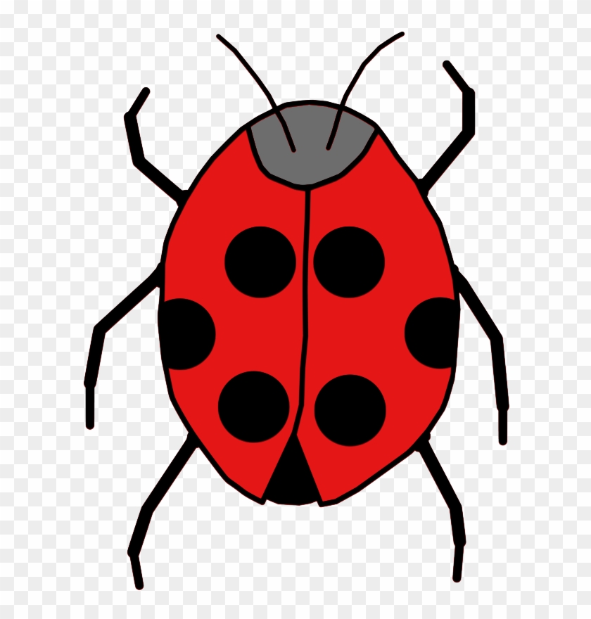 Similar Clip Art - Animals Insect Cartoon Png #665824