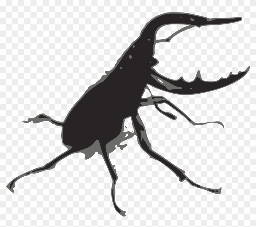 Big Image - Stagbeetle Png #666429