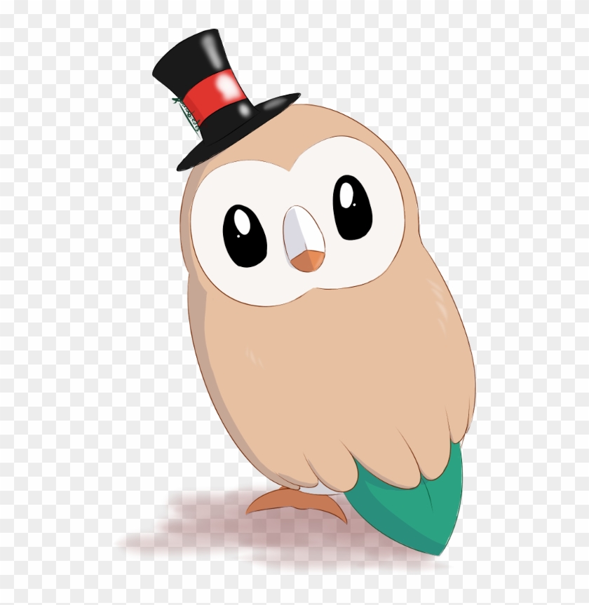 Wallpapers Pokemon Rowlet Evolution Gallery - Cartoon #666762