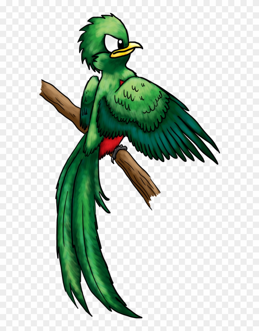 Quetzal Bird Flying - Drawing #667025