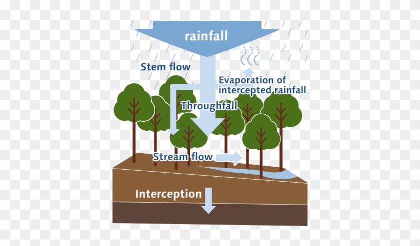 The Functionality Of Green Dams That Are No Longer - Stream #668931