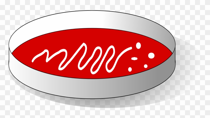 Agar Plate Petri Dishes Clip Art - Agar Plates Clipart #669328