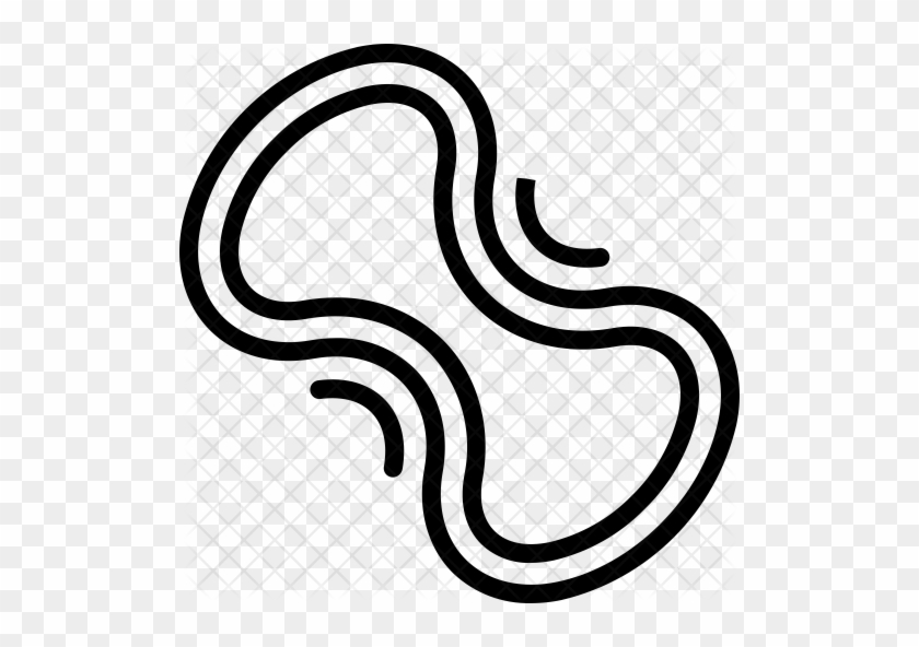 Elastic Band Icon - Elastic Band Icon #669648