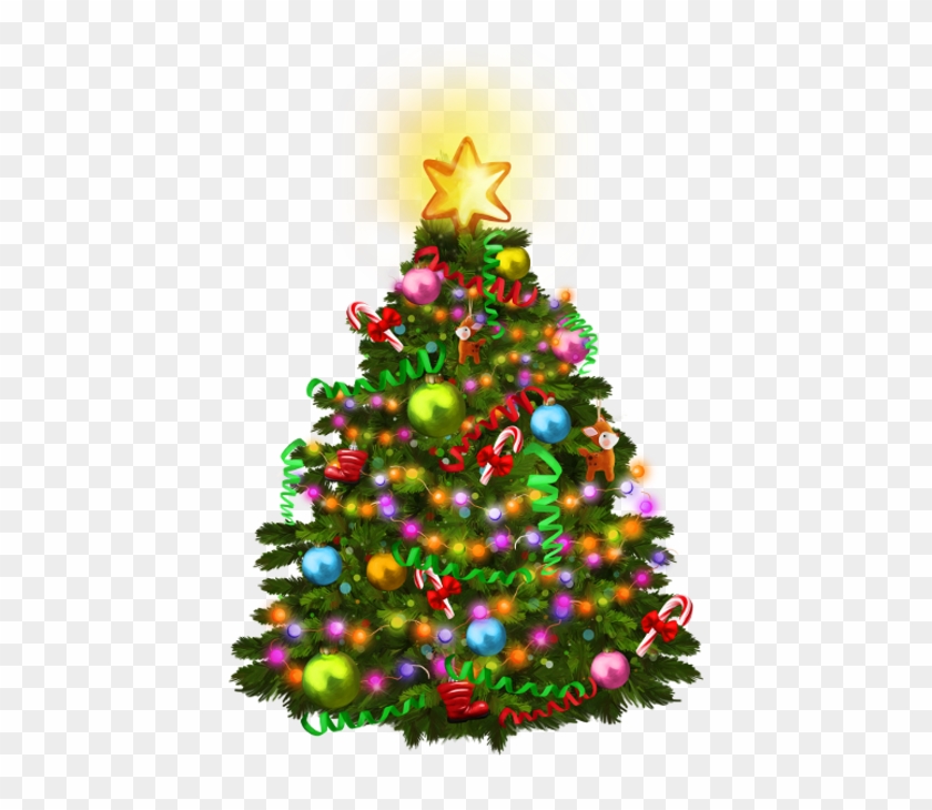 Sapins,noel,christmas, - Xmas Transparent #670637