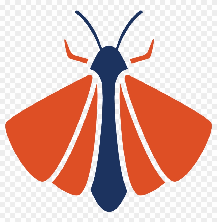 Fabric Moths - Moth #670956