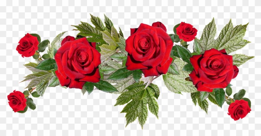Roses, Red, Flower, Arrangement, Anniversary, Bouquet - Flower #671245