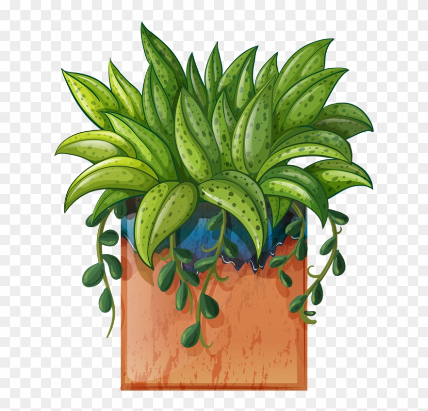 Clip Art Of Beautiful Plants For The Spring Garden - Beautiful Plant Clipart #671656