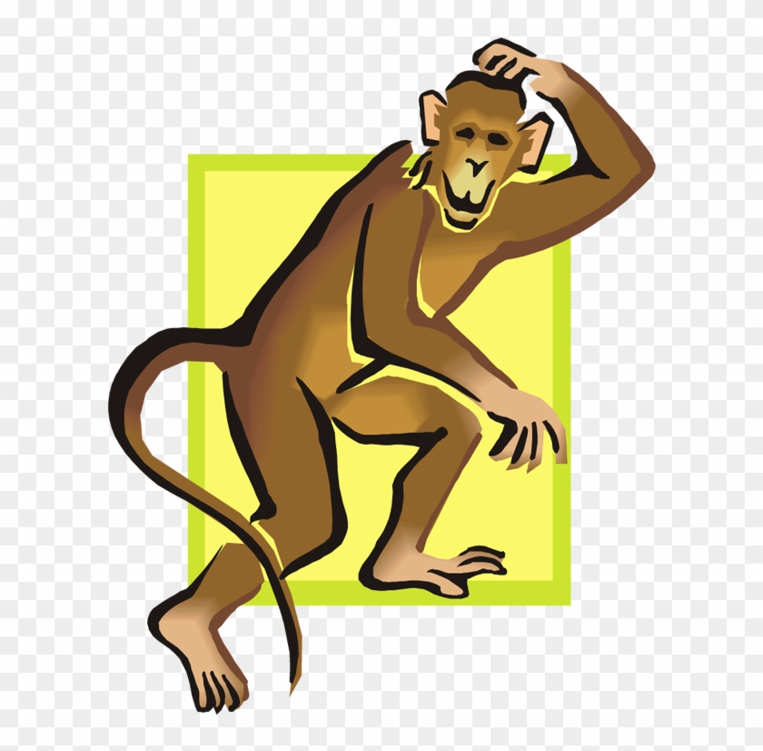 Monkey #672533