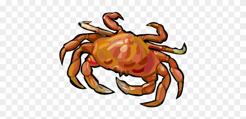 Learn How To Crack A Crab Followed By Crab Cakes - Everyday Life #672666